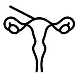 Robotic Sacrocolpopexy treatment in mohali