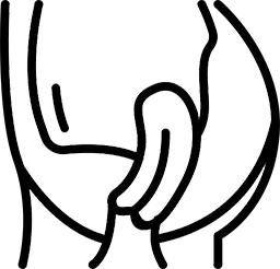 Robotic Uterus Prolapse Surgery in mohali